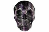 Realistic, Carved, Banded Purple Fluorite Skull - Fluorescent! #150942-2